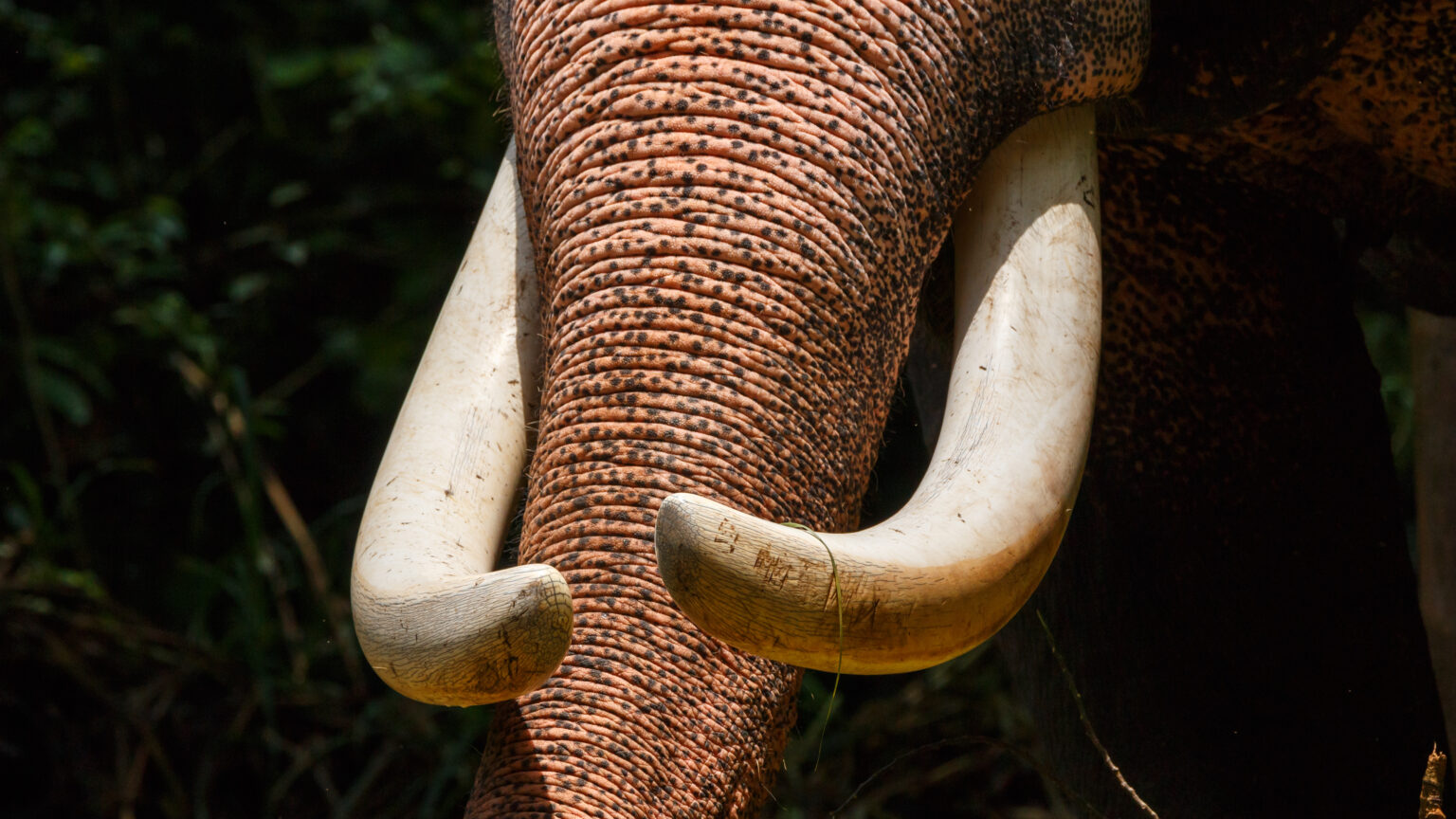 cache-buffer-chains-demystified-in-postgresql-16-postgresql