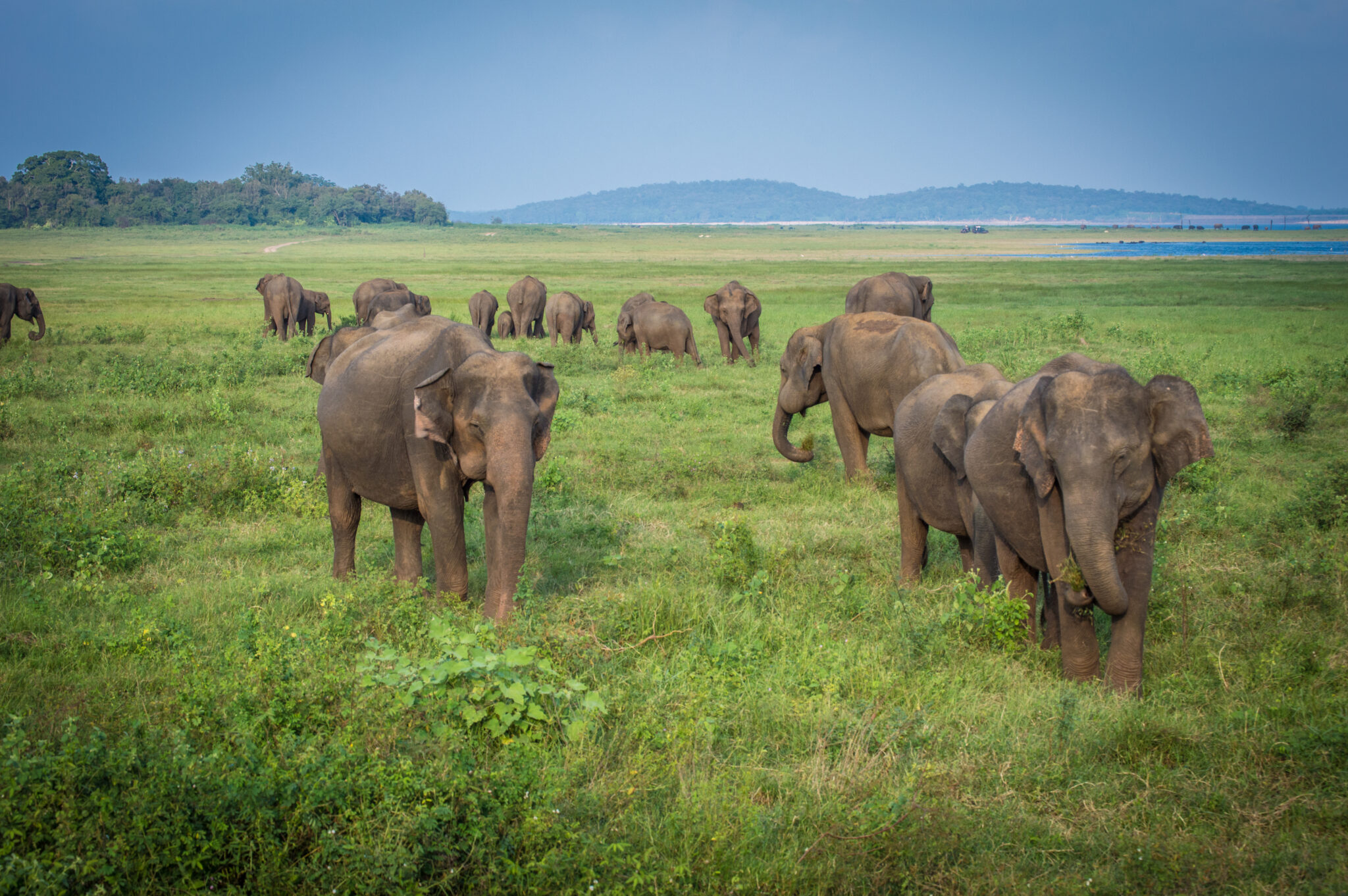 How to monitor CPU Cache Buffers Chains Latch in PostgreSQL?