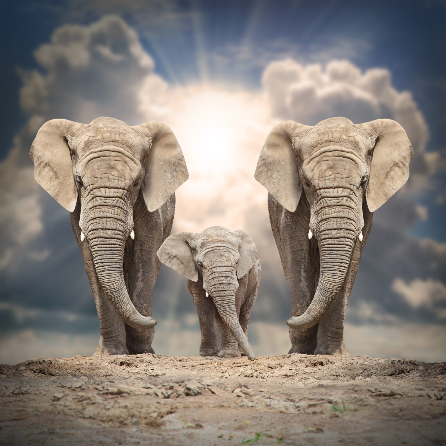 How to Implement Online Schema Change in PostgreSQL Using Python for ...