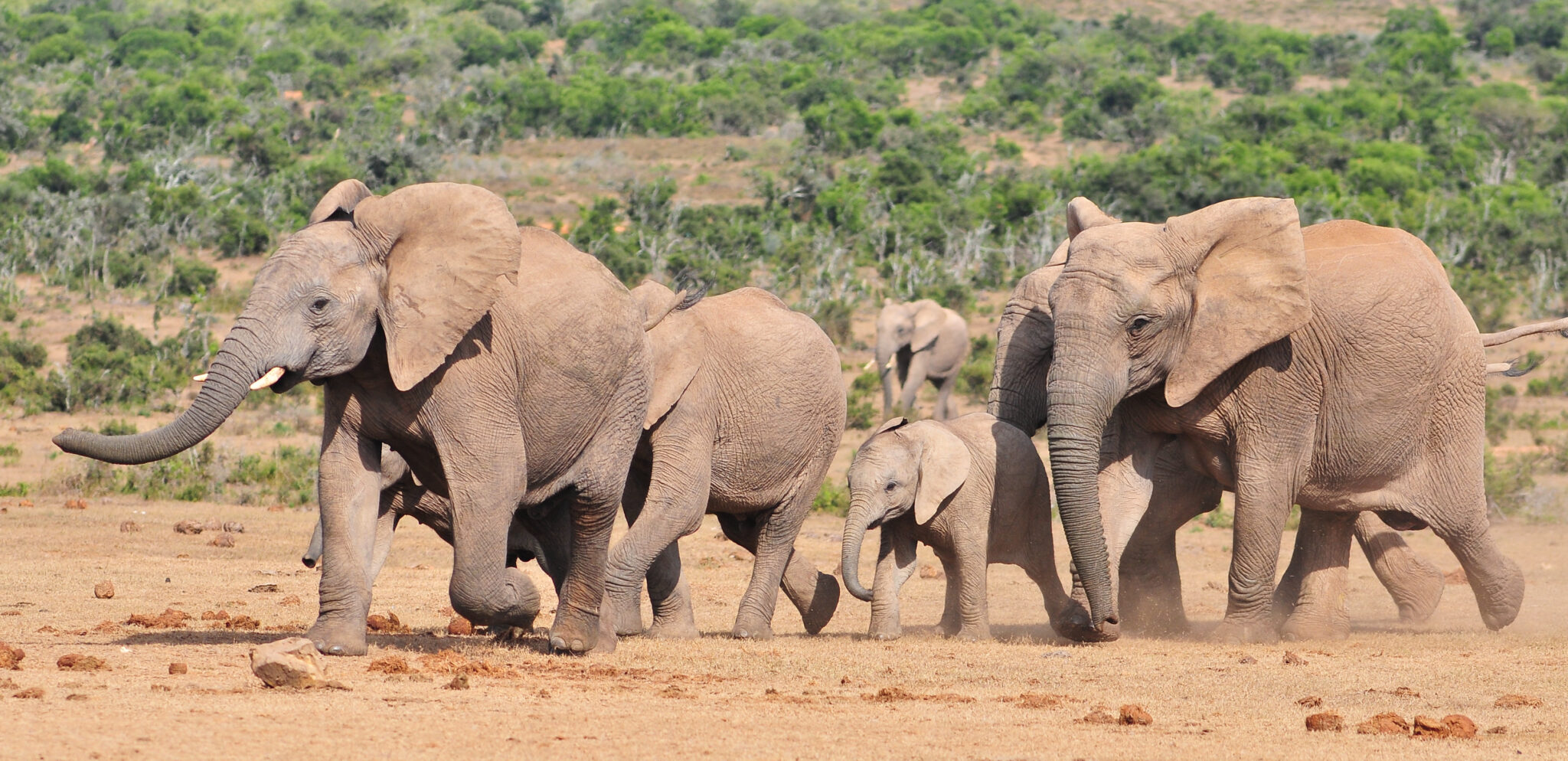 PostgreSQL Reverse Key Indexes Leaf Block Contention