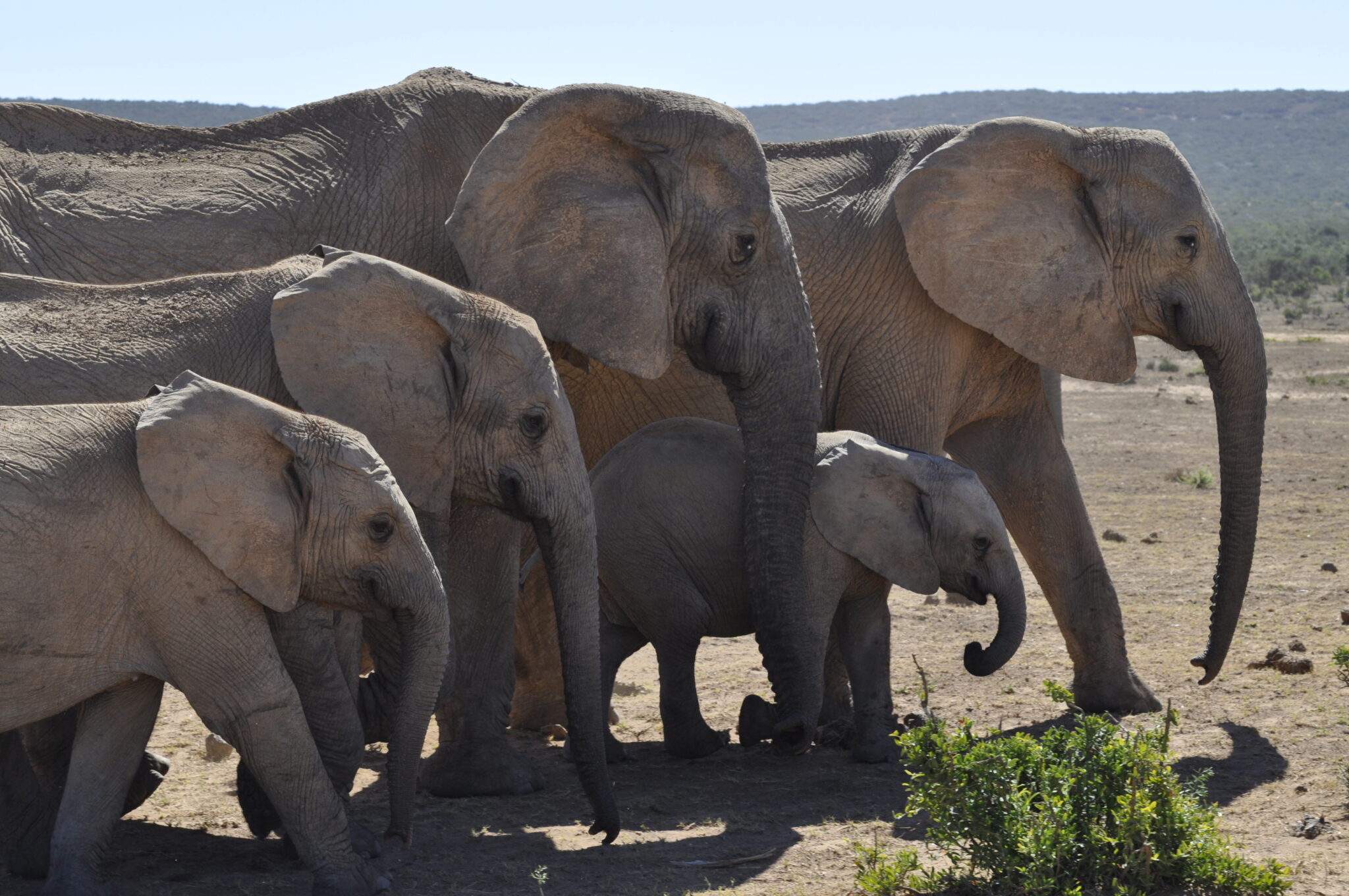 PostgreSQL Transaction Logs: Implementation & Optimization