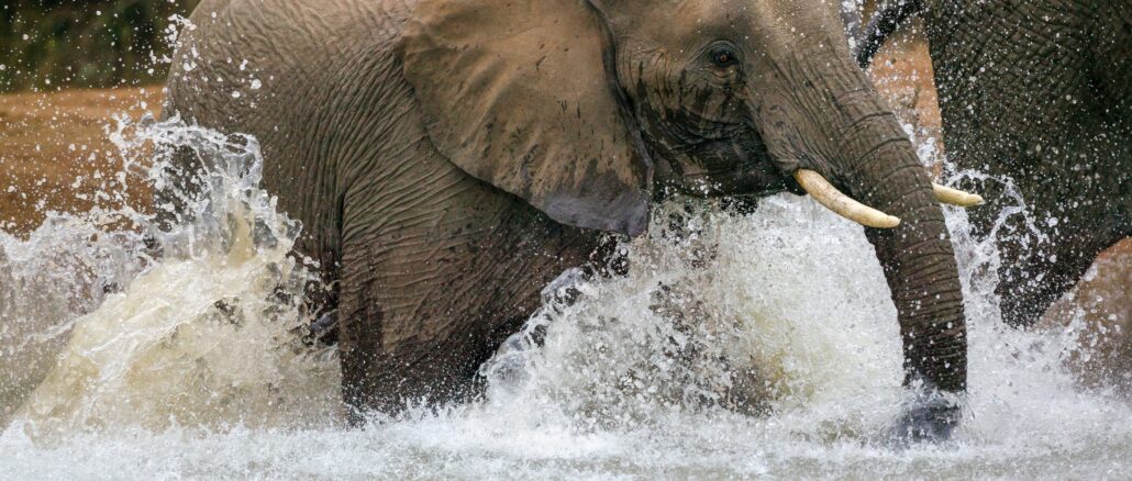 Troubleshooting PostgreSQL JOIN Performance