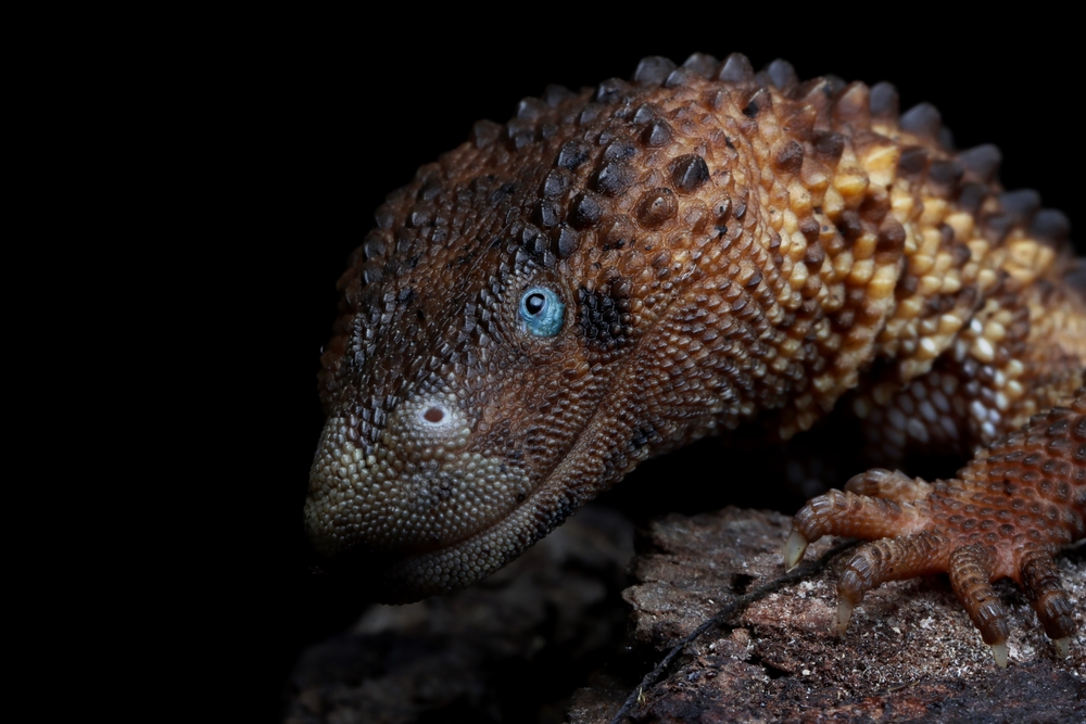 RocksDB Performance on Multicore Servers optimizing