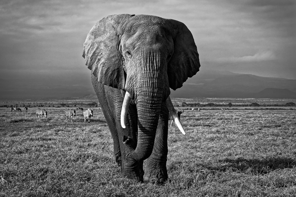 Missing Statistics on PostgreSQL Query Performance DBA