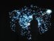 PostGIS geospatial PostgreSQL