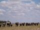 postgresql cutover runbook